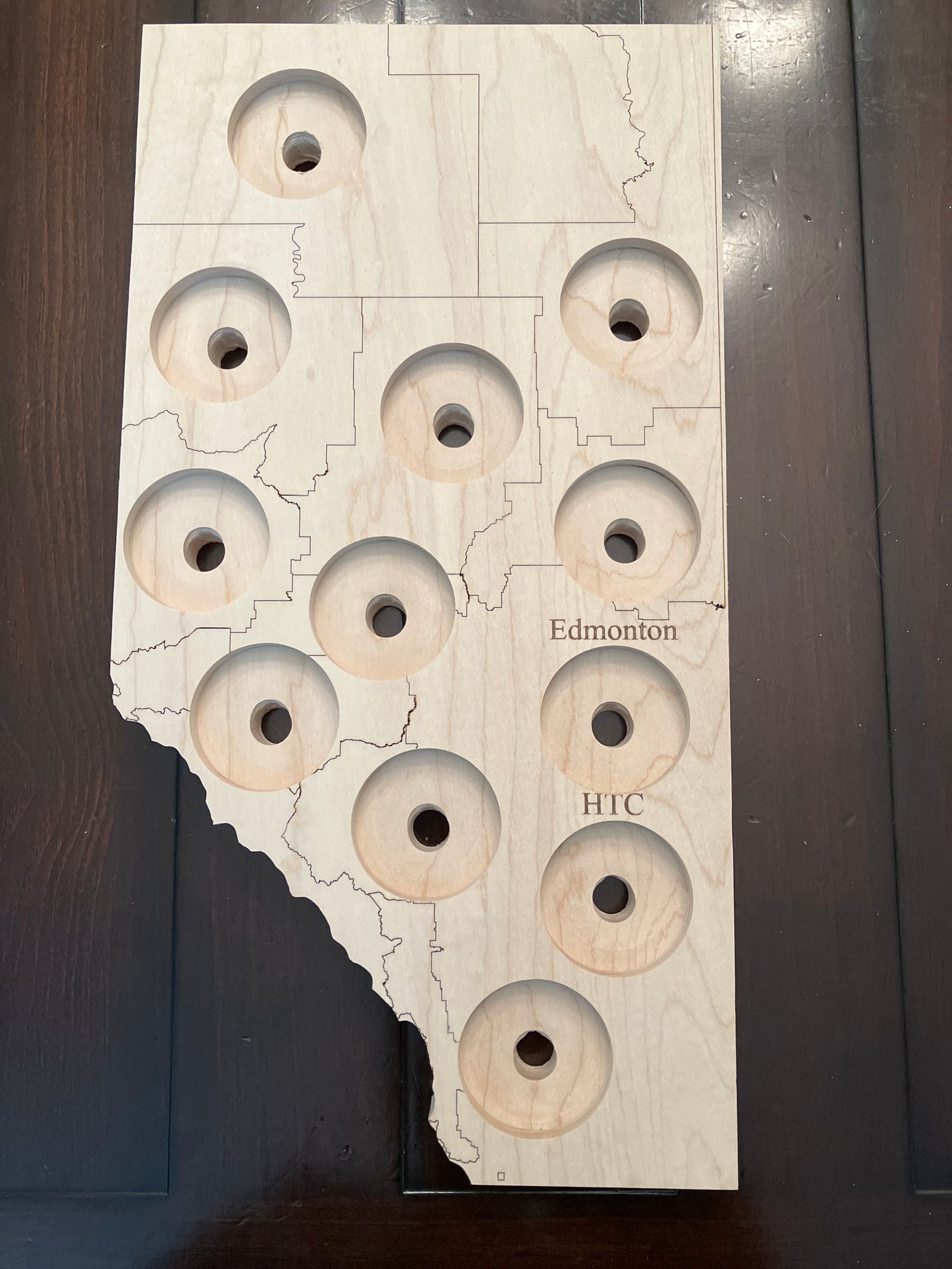 Alberta Wildfire Challenge Coin Display