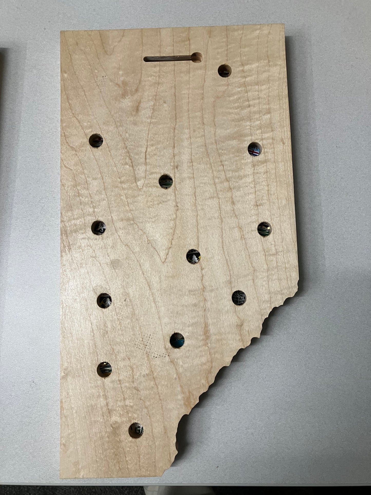 Alberta Wildfire Challenge Coin Display